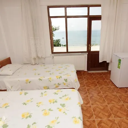 Hotel Pinar